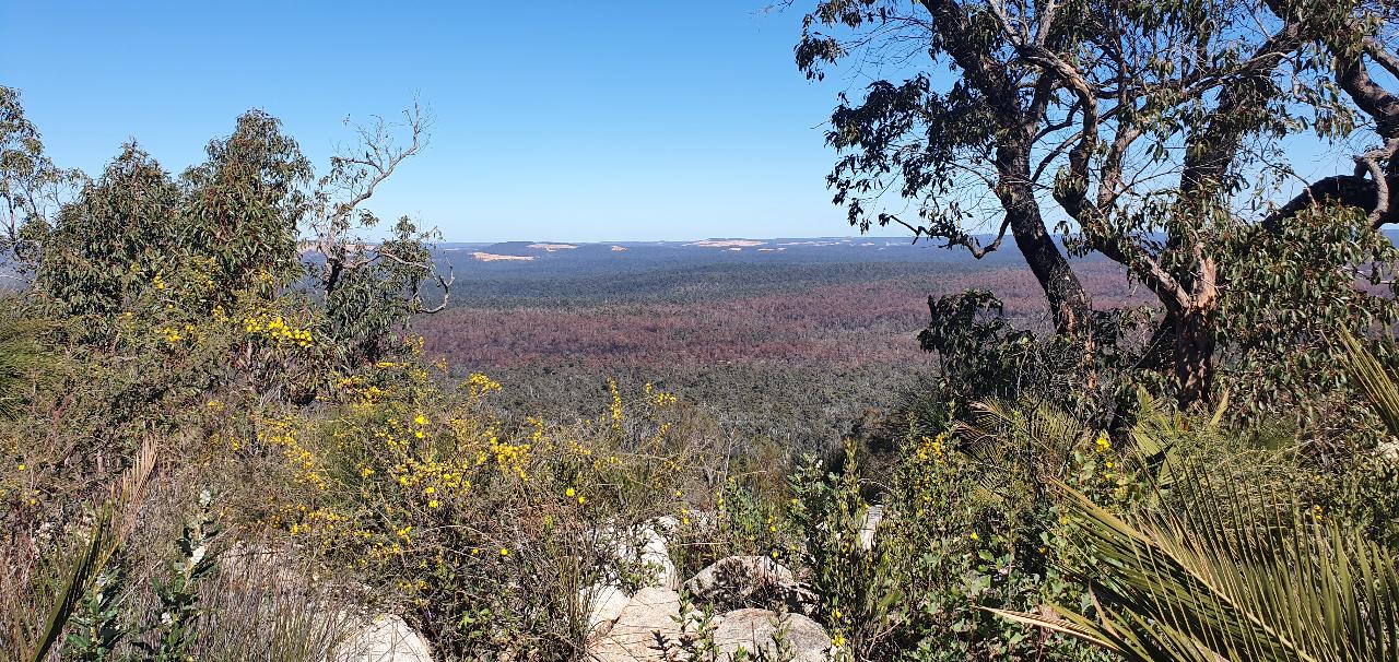 Darling Range Twin Peaks Hike - We Wander