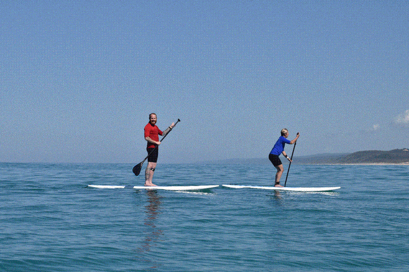 Stand Up Paddle Wildlife Tour & Beach 4X4 Day Trip- Noosa