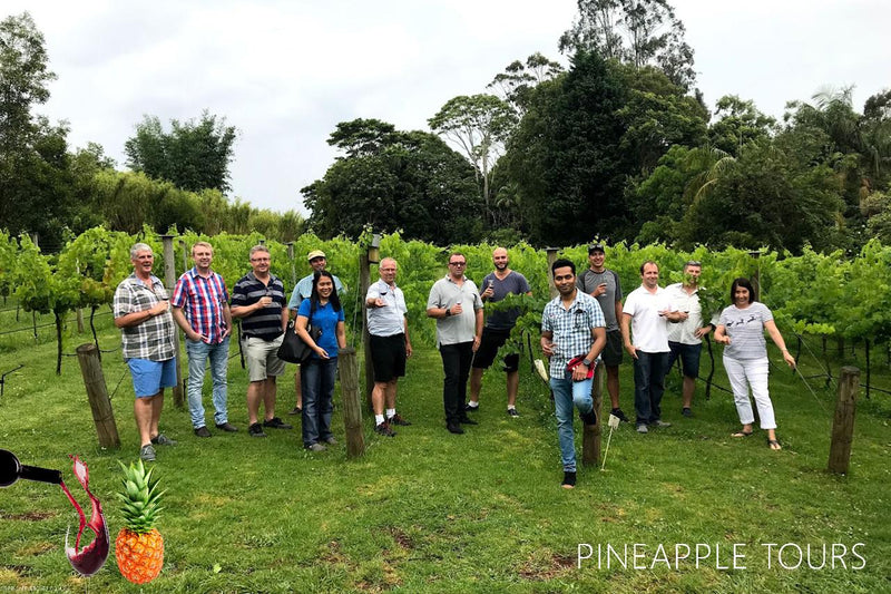 Full Day Mount Tamborine Winery Tour - Brisbane Pickup