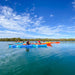 Dolphin Sanctuary Mangroves Tour - We Wander
