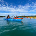 Dolphin Sanctuary Mangroves Tour - We Wander