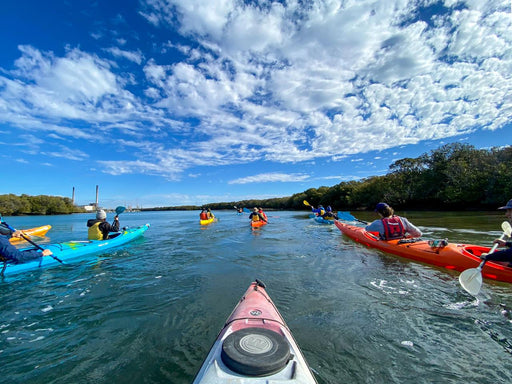 Dolphin Sanctuary Mangroves Tour - We Wander