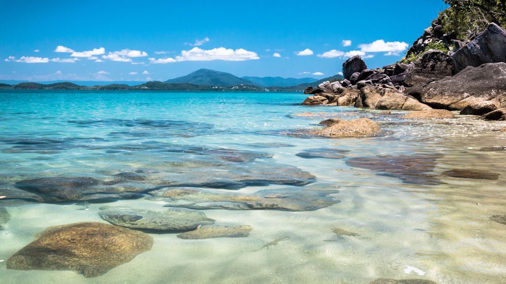 Dunk Island Adventures - Mission Beach Day Return - We Wander