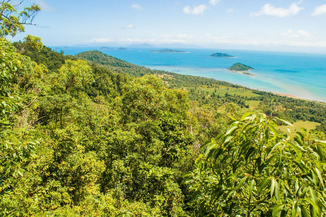 Dunk Island Adventures - Mission Beach Day Return - We Wander