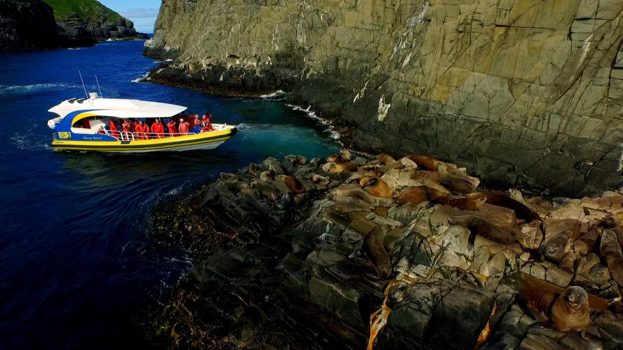 Bruny Island Cruises 3 Hour Cruise With Kettering Bus Pickup