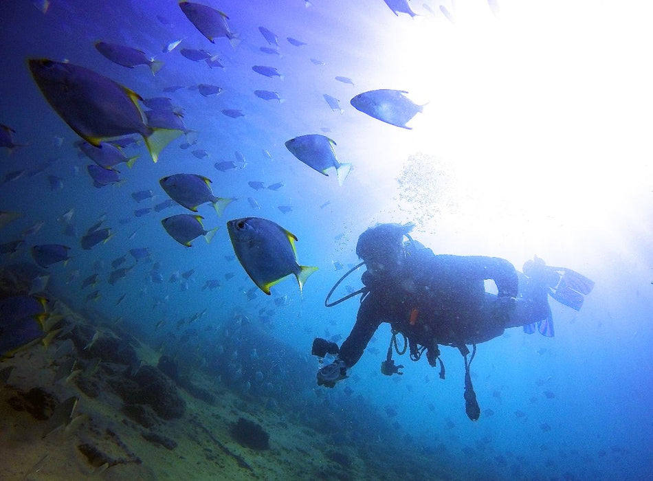 Padi Advanced Open Water Course