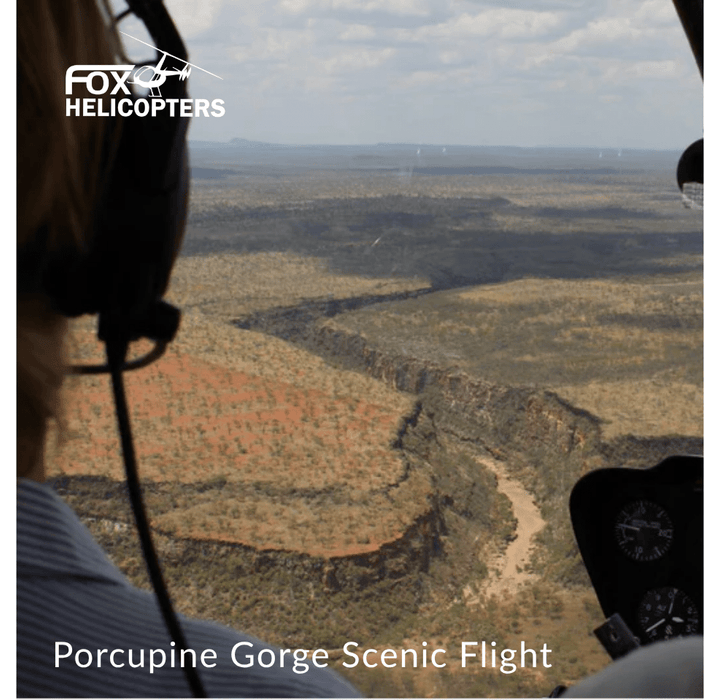 Elite 2 - Experience Portfolio for business - We Wander