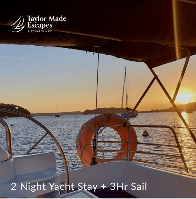 Elite 2 - Experience Portfolio for business - We Wander