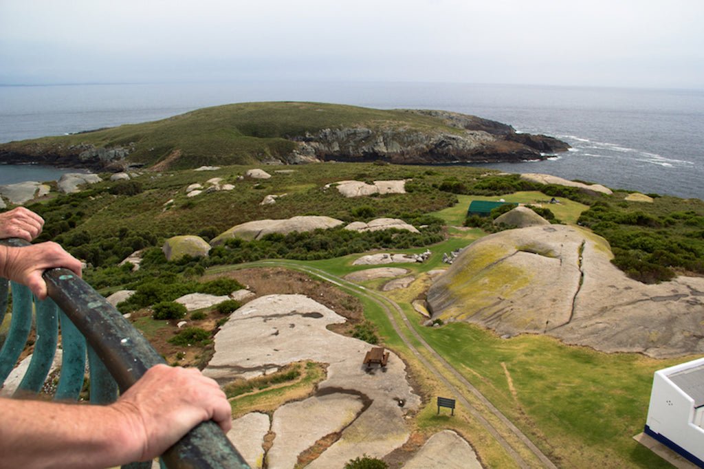 Evening Montague Island Penguin Tour - We Wander