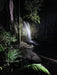 Evening Rainforest & Glow Worm Experience - We Wander