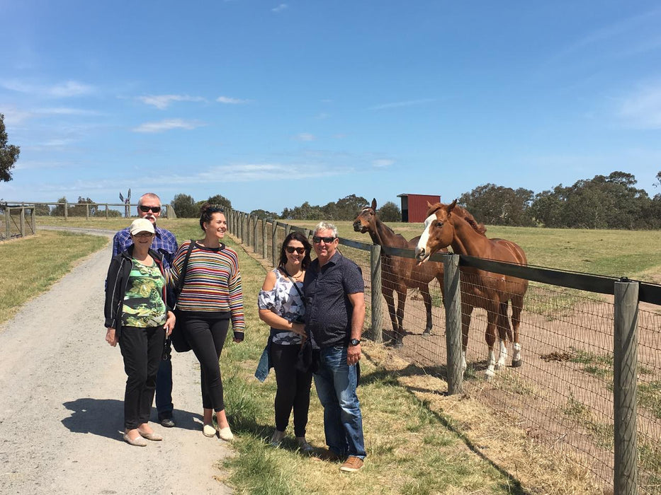 Half Day Racehorse Tour