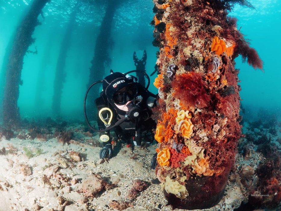 Discover Scuba Dive