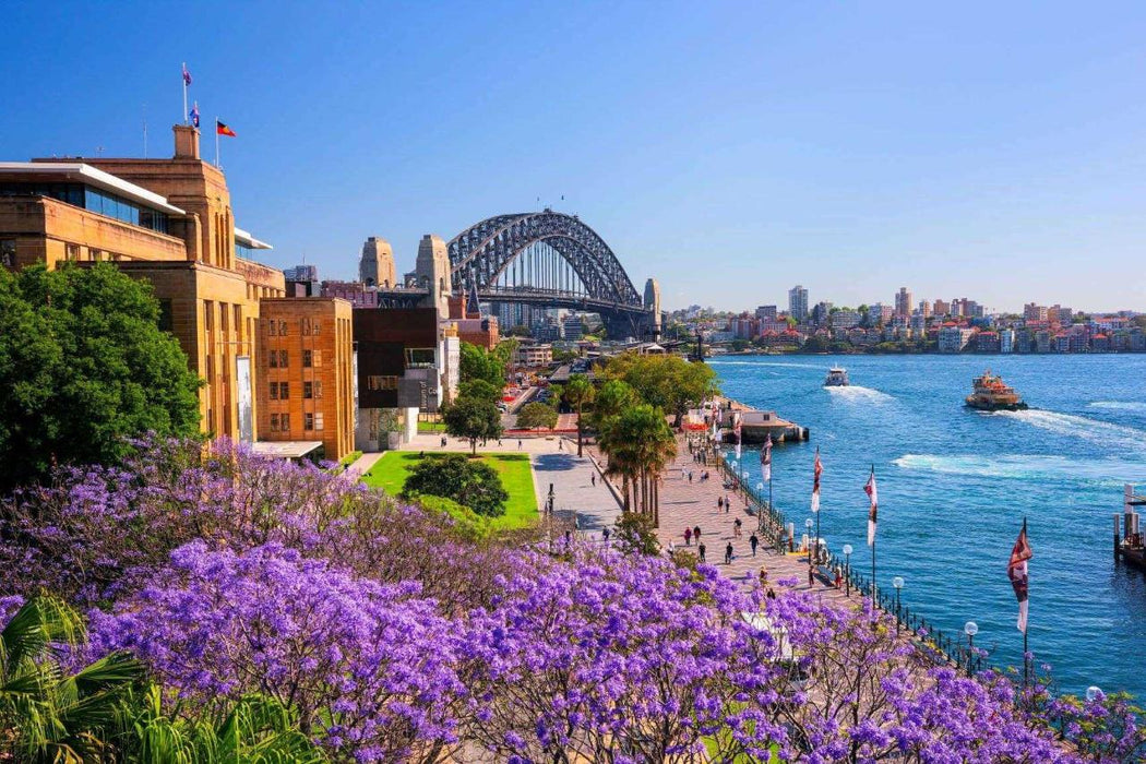 Sydney City Luxury Full Day Private Charter Tour - City, East & Northern Beaches