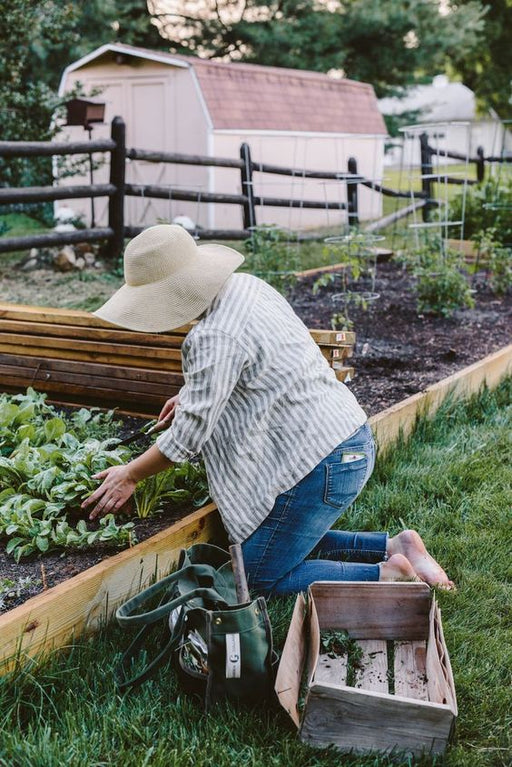 Forage, Find & Taste The Vines - We Wander