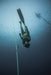 Freediving Course - Gold Coast - 2 Day - We Wander