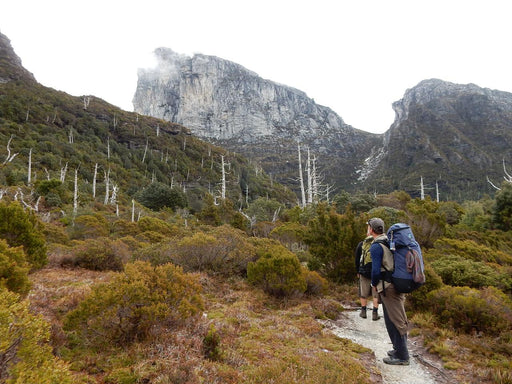 Frenchman's Cap Guided Walk - We Wander