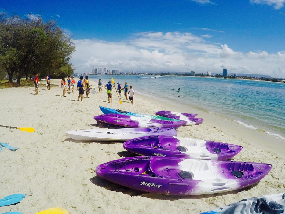 Morning Dolphin Kayaking & Snorkeling Tour