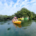 Glass Bottom Kayak Tour - Cullendulla Sanctuary - We Wander