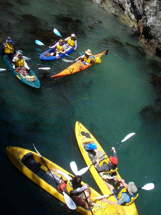 Glass Bottom Kayak Tour - Cullendulla Sanctuary - We Wander