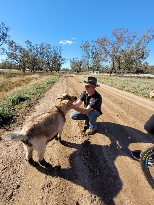 Introductory Farm Tour