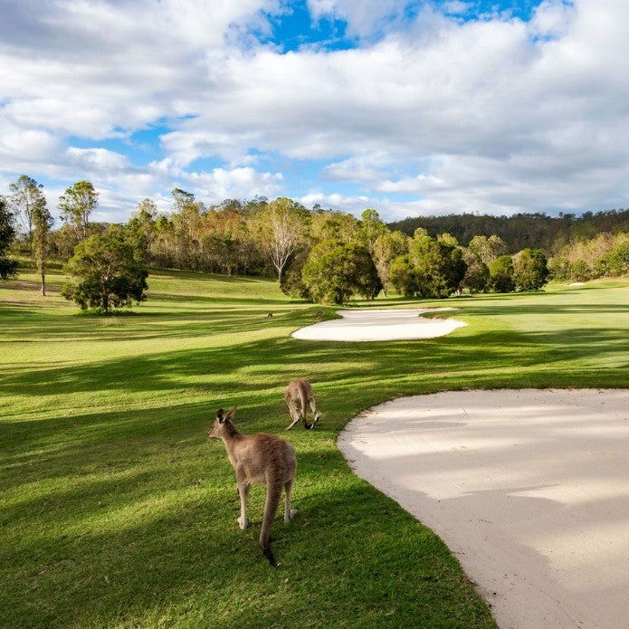 Golf Casual 18 Holes