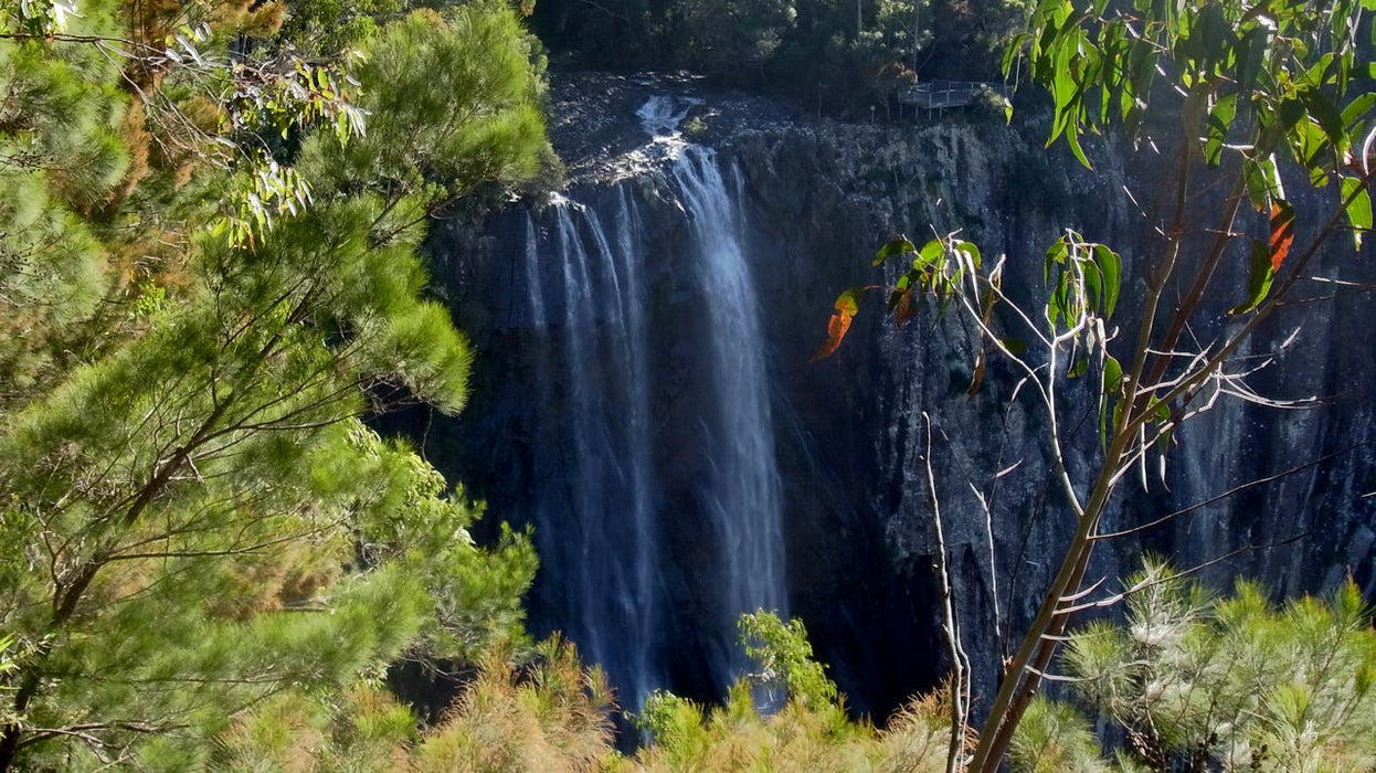 Half Day Out Byron Bay Tour - We Wander