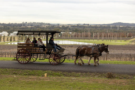 Harvest The Hunter Wine And Produce Tour - We Wander