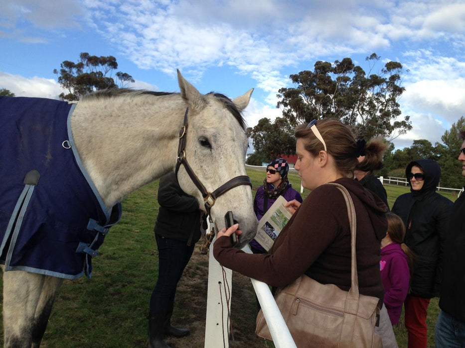 Horses, Wine & Beer Tour - We Wander