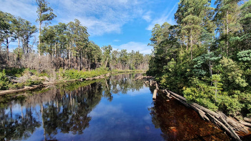 Huon Valley Day Tour - We Wander