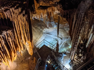 Jenolan Caves Blue Mountains Day Adventure + River Cruise