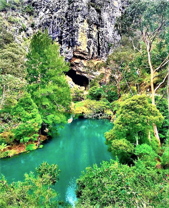 Jenolan Caves Blue Mountains Day Adventure + River Cruise