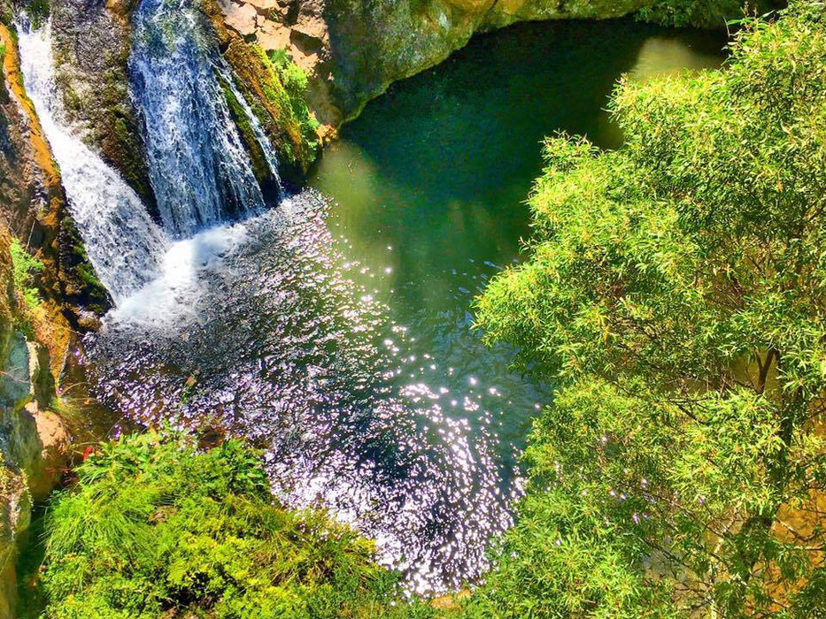 Jenolan Caves Blue Mountains Day Adventure + River Cruise