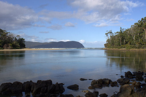 John Forrest Ultimate Collection - 10 Km & 3 Hrs - We Wander