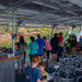 Johnstone River Croc & Wildlife Tour - We Wander
