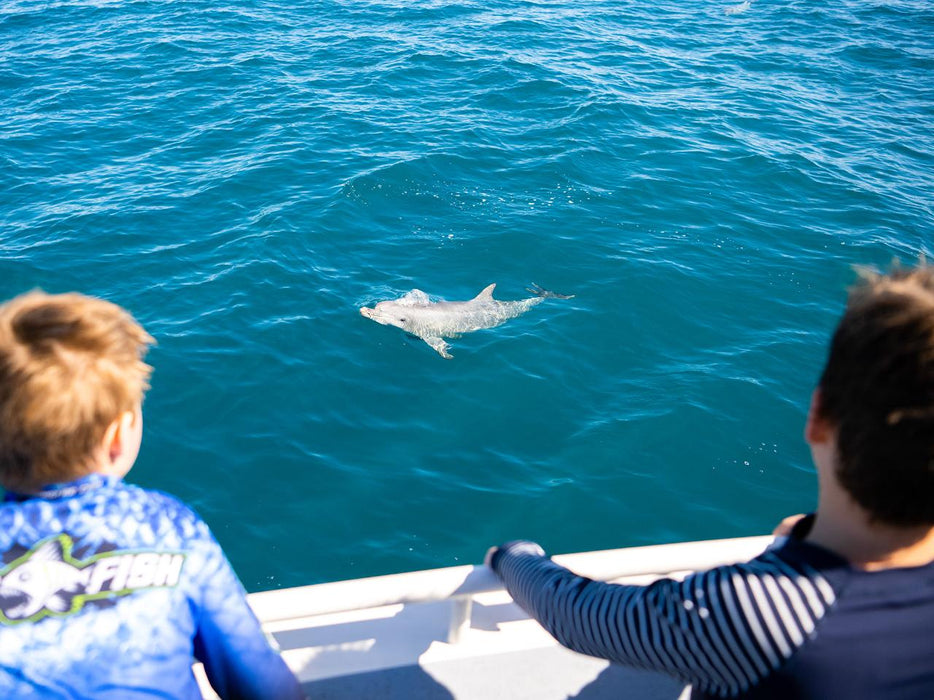 Kangaroo Island Ocean Safari - 2 Hour Swim With Dolphin, Seal & Coastal Snorkelling - We Wander