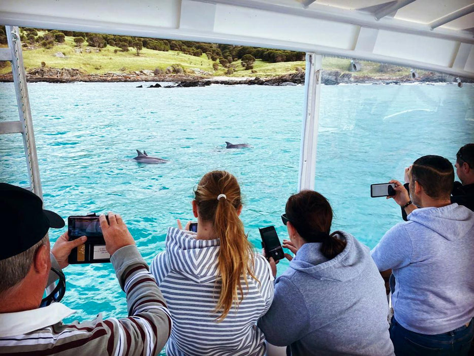 Kangaroo Island Ocean Safari - 75 Minute Safari - We Wander