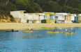 Kayak The Dolphin Sanctuary - We Wander