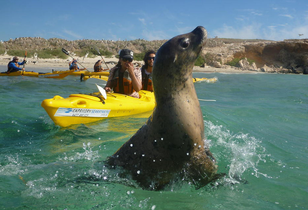 Mandurah Canal Cruise & Caversham Wild Life Park