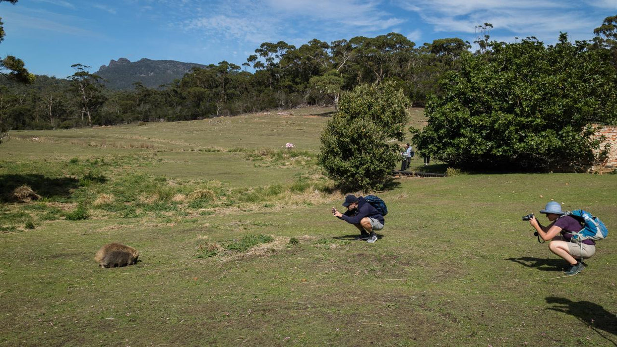 Maria Island National Park - Premium Private Photo - Oriented Day Tour - We Wander