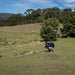 Maria Island National Park - Premium Private Photo - Oriented Day Tour - We Wander