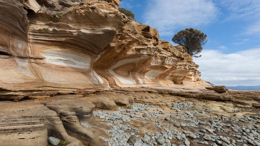 Maria Island National Park - Premium Private Photo - Oriented Day Tour - We Wander