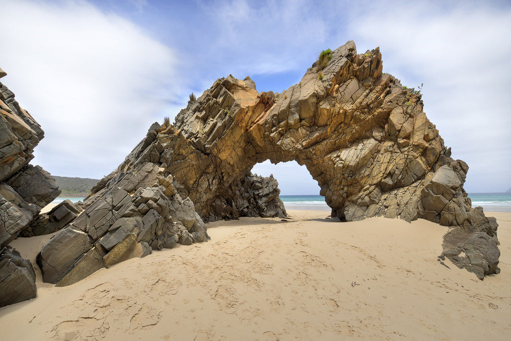 Family Bruny Island Discovery Tour