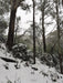Mt Buller Snow Day Tour - We Wander