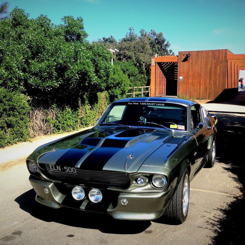Shelby Mustang Joyride