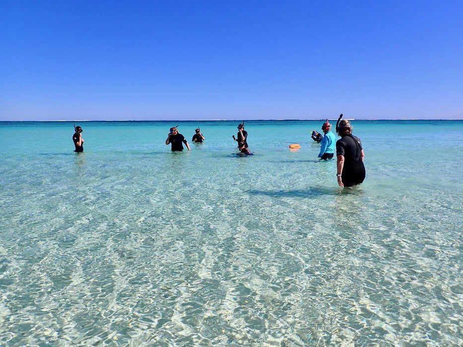 Ningaloo In A Day - We Wander