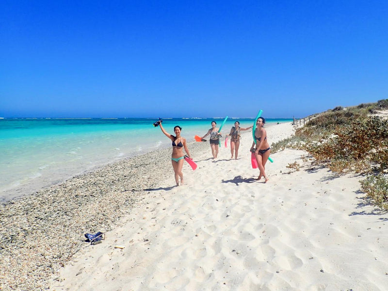 Ningaloo In A Day - We Wander