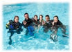 Open Water Diver Course - We Wander