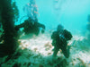 Padi Open Water Dive Course - We Wander