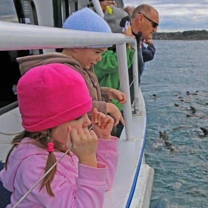 Phillip Island Seal Cruise - We Wander