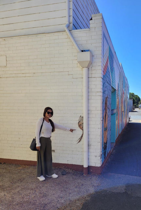 Collie Town Mural Tour Half Day